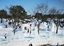 February  Onuma-Hakodate Snow and Ice Festival