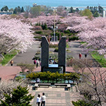 Mori tourist information